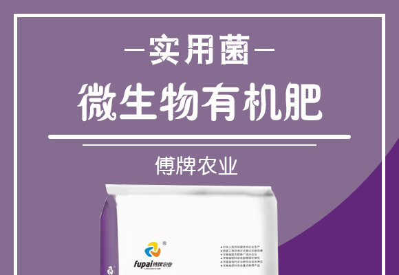 微生物有�����-实用菌_01.jpg