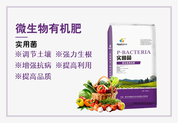 微生物有�����-实用菌_03.jpg