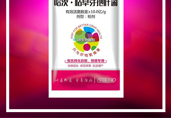 哈茨·枯草芽孢杆菌�Q�白�_�锈病专用）(j��)_02.jpg