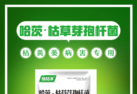 哈茨·枯草芽孢杆菌�Q�枯黄萎病害专用�Q�_01.jpg