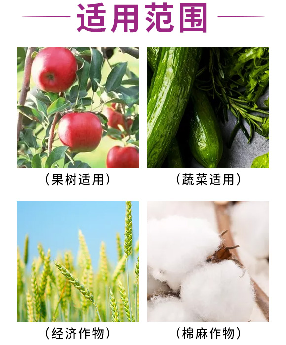 菌必�?汇多丰_05.jpg