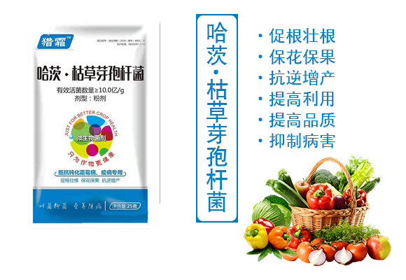 哈茨·枯草芽孢杆菌�Q�白�_�锈病专用）(j��)_03.jpg