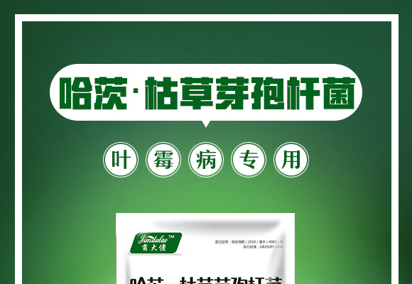 哈茨·枯草芽孢杆菌�Q�叶霉病专用�Q�_01.jpg