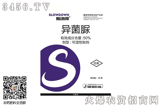 �����嚢������ʲô����