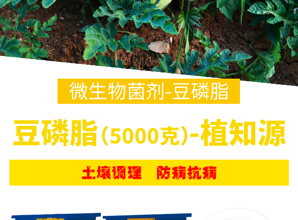 豆磷脂（5000克）(j��)-植知源_08.png
