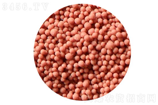 ����⛷��ϝq50Ԫ��2020-11-19����⛷ʃr�������r