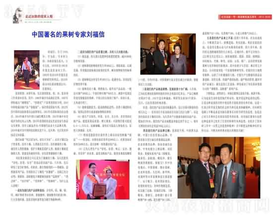 ���Ϲ��I(y��)���F(tu��n)��˾