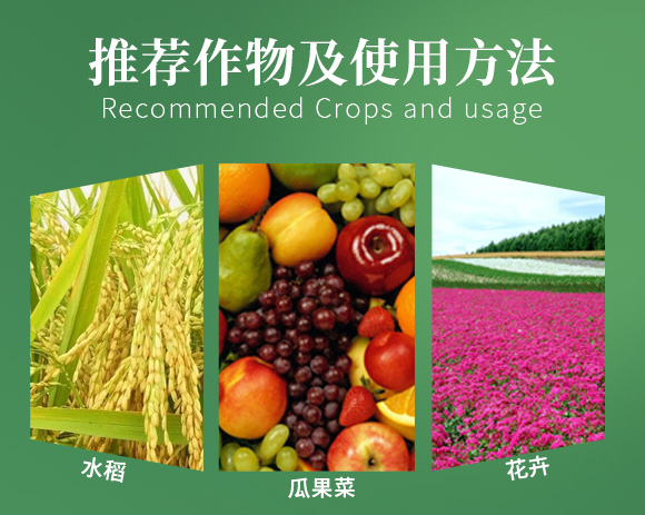 涔欒挏绱犱鉤娌?瀹濈劧鐢熺墿_05.jpg 涔欒挏绱犱鉤娌?瀹濈劧鐢熺墿_05.jpg