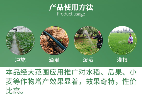 涔欒挏绱犱鉤娌?瀹濈劧鐢熺墿_06.jpg 涔欒挏绱犱鉤娌?瀹濈劧鐢熺墿_06.jpg