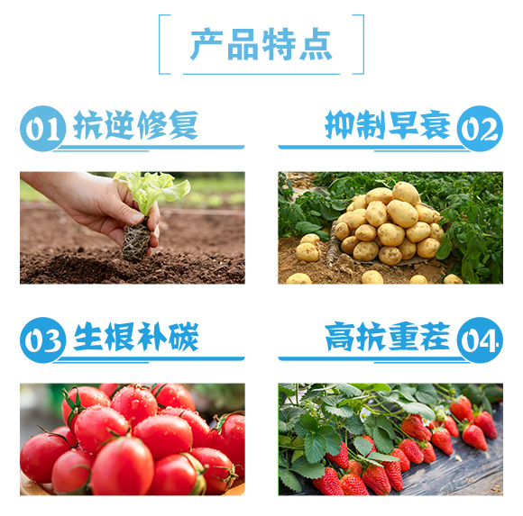 紕寵兘寰姩鍔?婕㈠攼_03.jpg 紕寵兘寰姩鍔?婕㈠攼_03.jpg