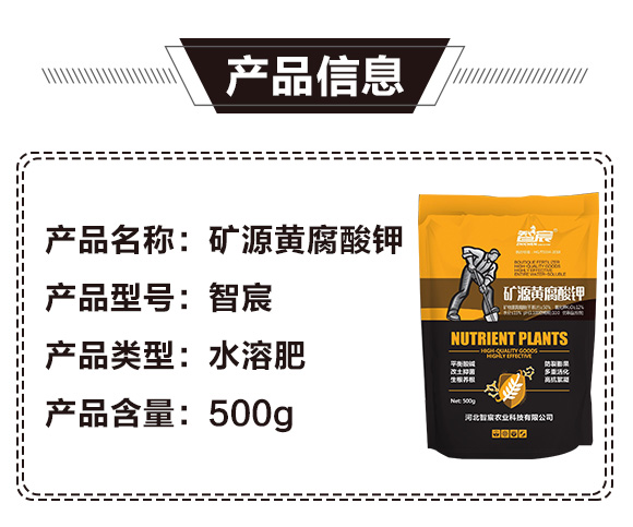 �VԴ�S�����-���