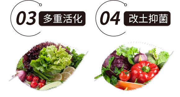 �VԴ�S�����-���