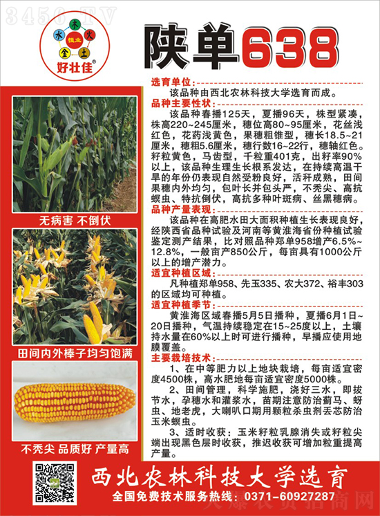 ꃆ�638���׷N��-�ÉѼ�-�Ё��r(n��ng)�I(y��)