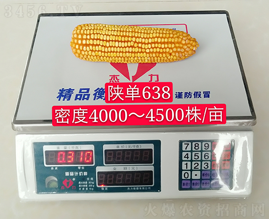 ꃆ�638���׷N��-�ÉѼ�-�Ё��r(n��ng)�I(y��)