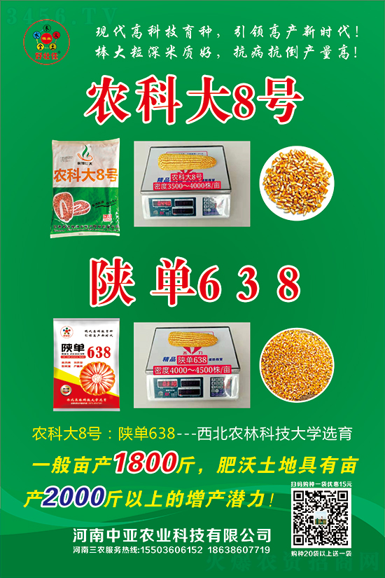 ꃆ�638���׷N��-�ÉѼ�-�Ё��r(n��ng)�I(y��)