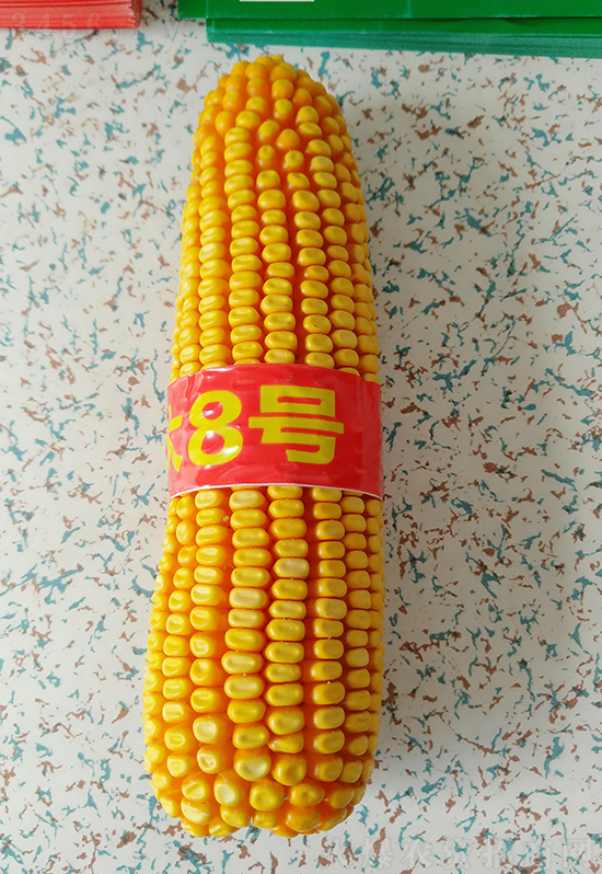 ��о�r(n��ng)�ƴ�8̖(h��o)���׷N��-�ػ��w��-�Ё��r(n��ng)�I(y��)