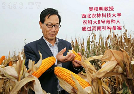 ��о�r(n��ng)�ƴ�8̖(h��o)���׷N��-�ػ��w��-�Ё��r(n��ng)�I(y��)