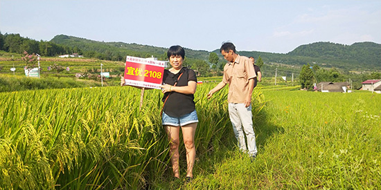 �˃�(y��u)2108-ˮ���N��-���A�߿�