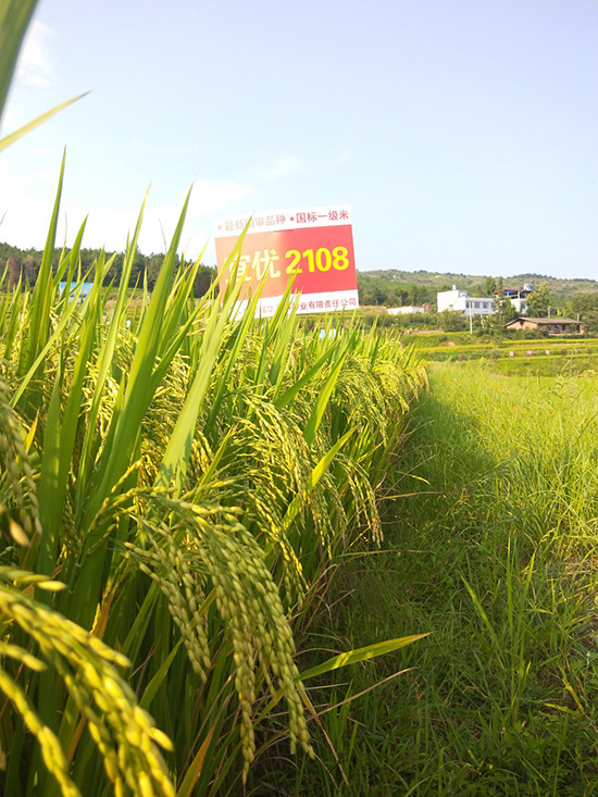 �˃�(y��u)2108-ˮ���N��-���A�߿�