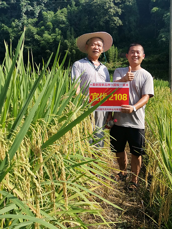 �˃�(y��u)2108-ˮ���N��-���A�߿�