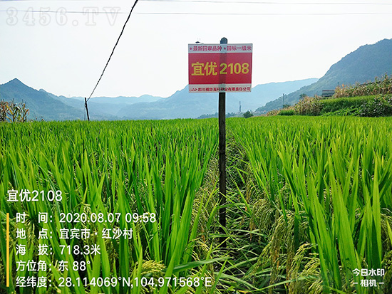 �˃�(y��u)2108-ˮ���N��-���A�߿�