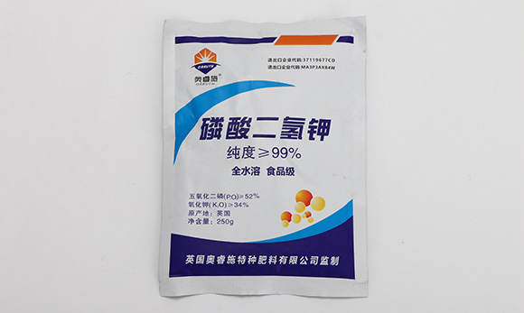 ��������-�W�ʩ