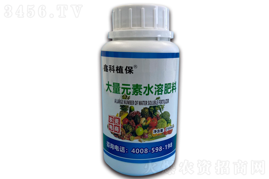 ʯ��ʲô�r���_�� ʯ��ʲô�r����� 