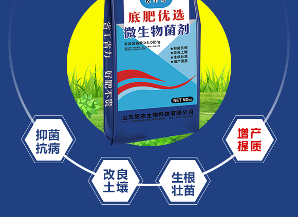 底肥优�?保丰�?肥农生物_05.jpg