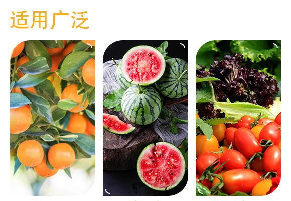 鐭挎簮榛勮厫閰擱捑-鍐滈湒涓?閾櫉鐢熺墿_04.jpg 鐭挎簮榛勮厫閰擱捑-鍐滈湒涓?閾櫉鐢熺墿_04.jpg