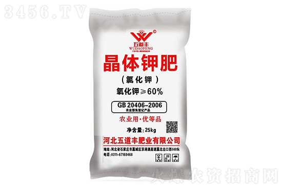 2021-1-8����⛷ʃr�������r