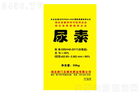 ���؃r���^�m(x��)�ϝq��2021-1-19�������؃r���rһ�[