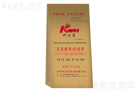 2021-2-9����С⛷ʃr�������rһ�[