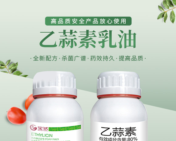 涔欒挏绱犱鉤娌?瀹濈劧鐢熺墿_01.jpg 涔欒挏绱犱鉤娌?瀹濈劧鐢熺墿_01.jpg