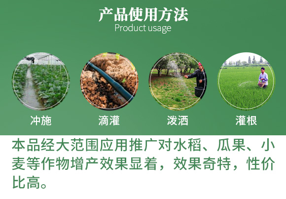 涔欒挏绱犱鉤娌?瀹濈劧鐢熺墿_06.jpg 涔欒挏绱犱鉤娌?瀹濈劧鐢熺墿_06.jpg