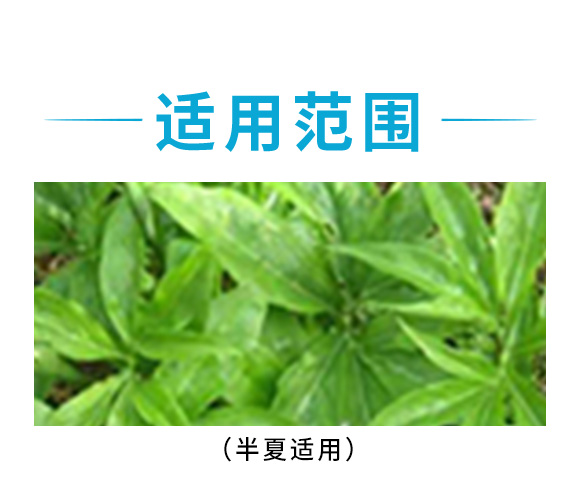 ��������������ˎ�ĳ��݄�-����