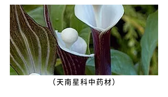 ��������������ˎ�ĳ��݄�-����