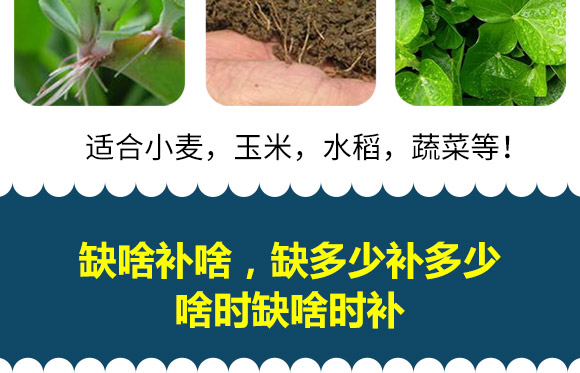 植物营养�?水立丰_10.jpg
