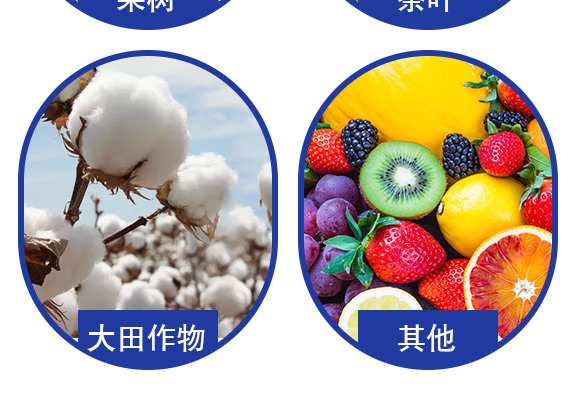 寰敓鐗╄弻鍓?淇湡妞嶅疂-鐩婂啘鑲ヤ笟_05.jpg 寰敓鐗╄弻鍓?淇湡妞嶅疂-鐩婂啘鑲ヤ笟_05.jpg