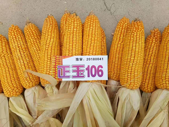 ����106-���׷N��-ԥ�β�