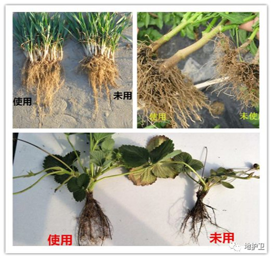 復(fù)合微生物菌劑-地護(hù)衛(wèi)-瑞邦化工 復(fù)合微生物菌劑-地護(hù)衛(wèi)-瑞邦化工