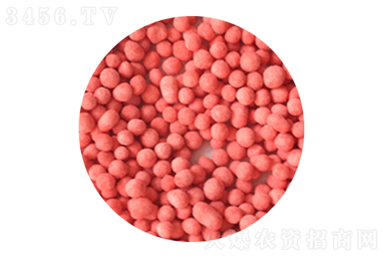 2021-2-5����⛷ʃr(ji��)�������(b��o)�r(ji��)