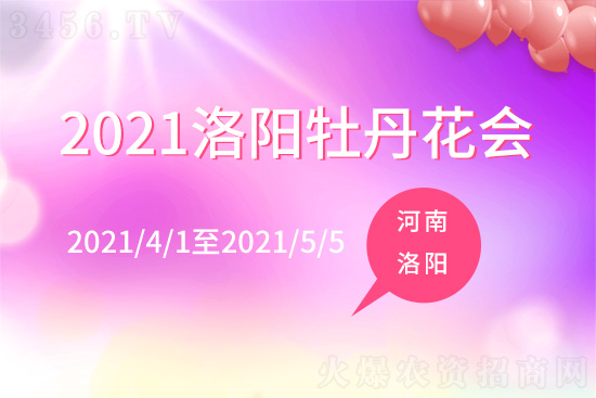 河南洛陽牡丹花展時間是幾月幾日 洛陽牡丹花會介紹 河南洛陽牡丹花展時間是幾月幾日 洛陽牡丹花會介紹