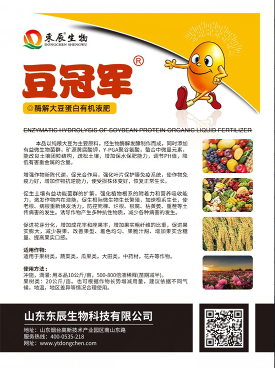 ø��󶹵����ЙC(j��)Һ��-��-�|������