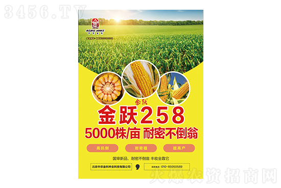 2021-3-4ɽ�|�؅^(q��)���׃r(ji��)����ُ(g��u)��(b��o)�r(ji��)һ�[