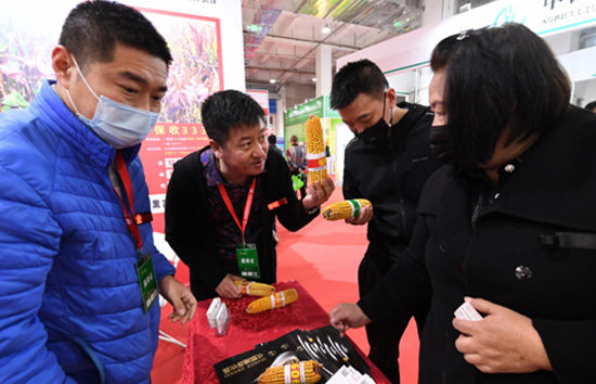 2021���28�Ã�(n��i)�ɹ��r(n��ng)�I(y��)���[���A�M��Ļ��