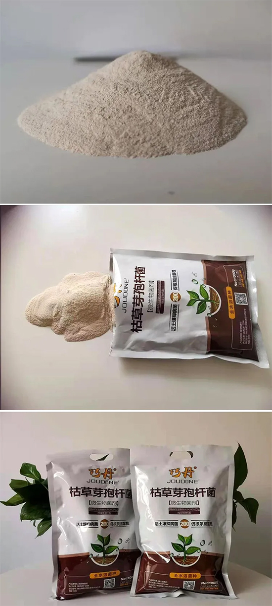 �ݲ�ѿ�ߗU��-�ɵ�-�f(w��n)��ȵ�