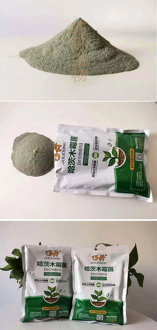 ����ľù��-�ɵ�-�f��ȵ�