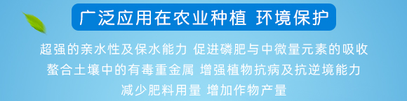 101_02.jpg 101_02.jpg