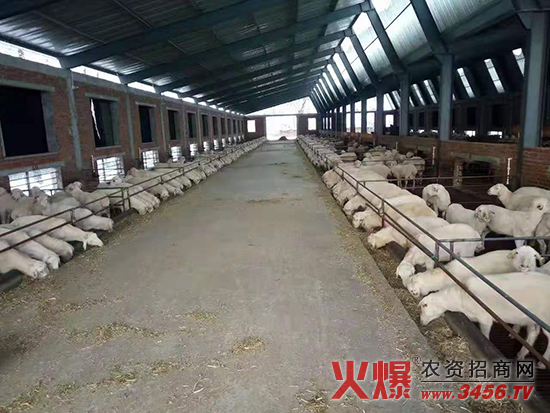 ��ꖿh�옷����Ƽ����޹�˾