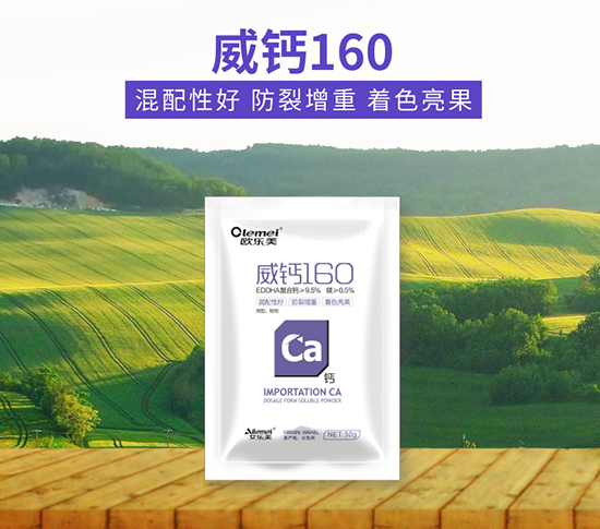 7658d043f781b40143308a470be5977_02.jpg 7658d043f781b40143308a470be5977_02.jpg